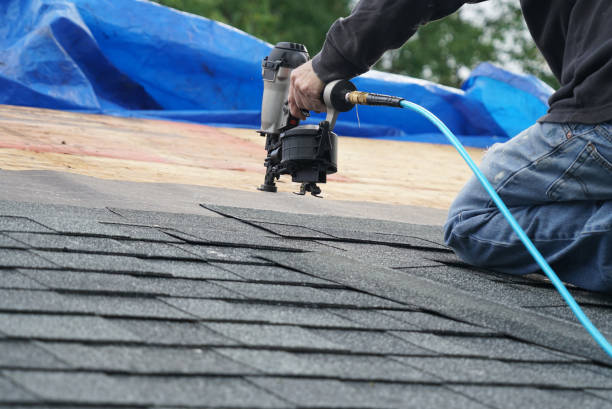Best Roof Gutter Cleaning  in Whittingham, NJ